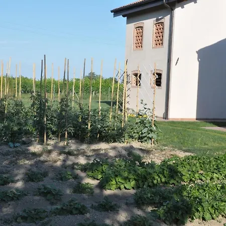Casa Sansovino Apartment
