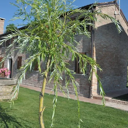 Casa Sansovino